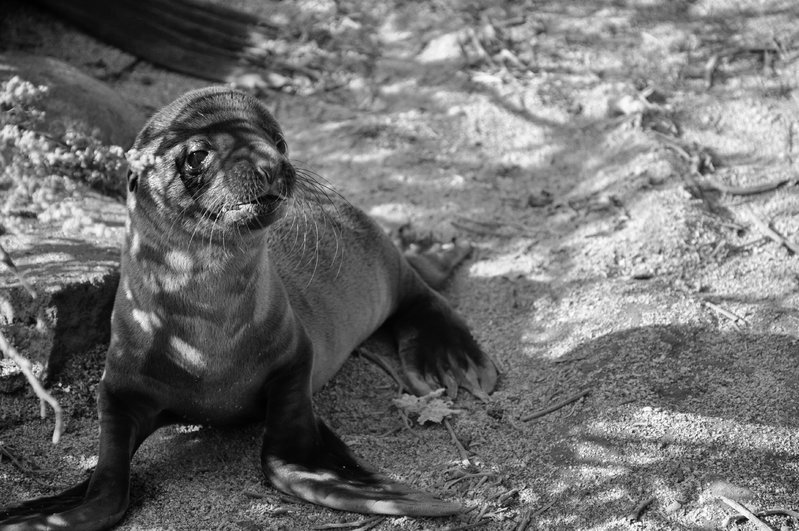 DSC_0468.jpg