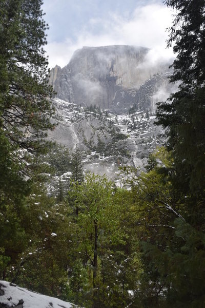 DSC_0479.jpg