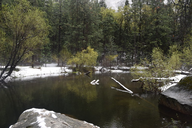 DSC_0482.jpg