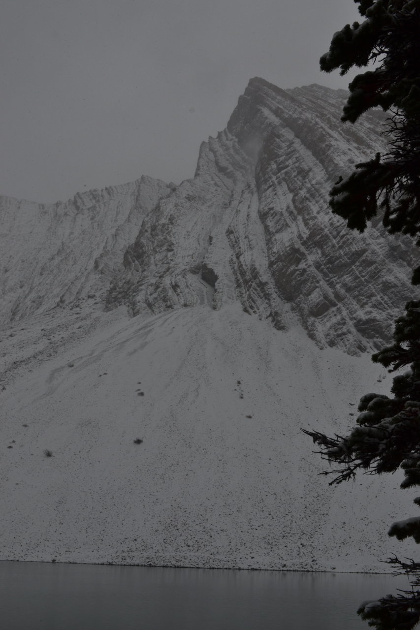 DSC_0483.jpg