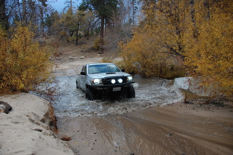 DSC_0484_6c9738de479493088e08667c6ab672631d93afdc.jpg
