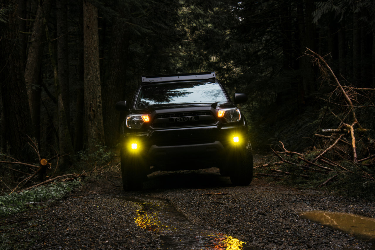 DSC_0490-3.jpg