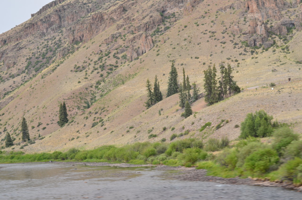 DSC_0490.jpg