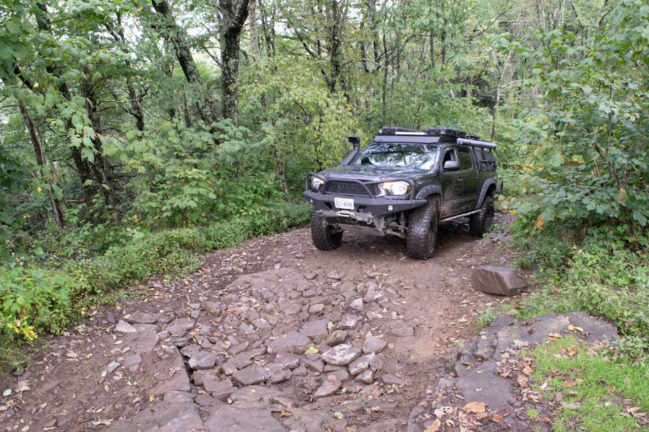 DSC_0493.jpg