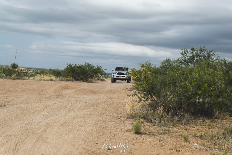 DSC_0497.jpg