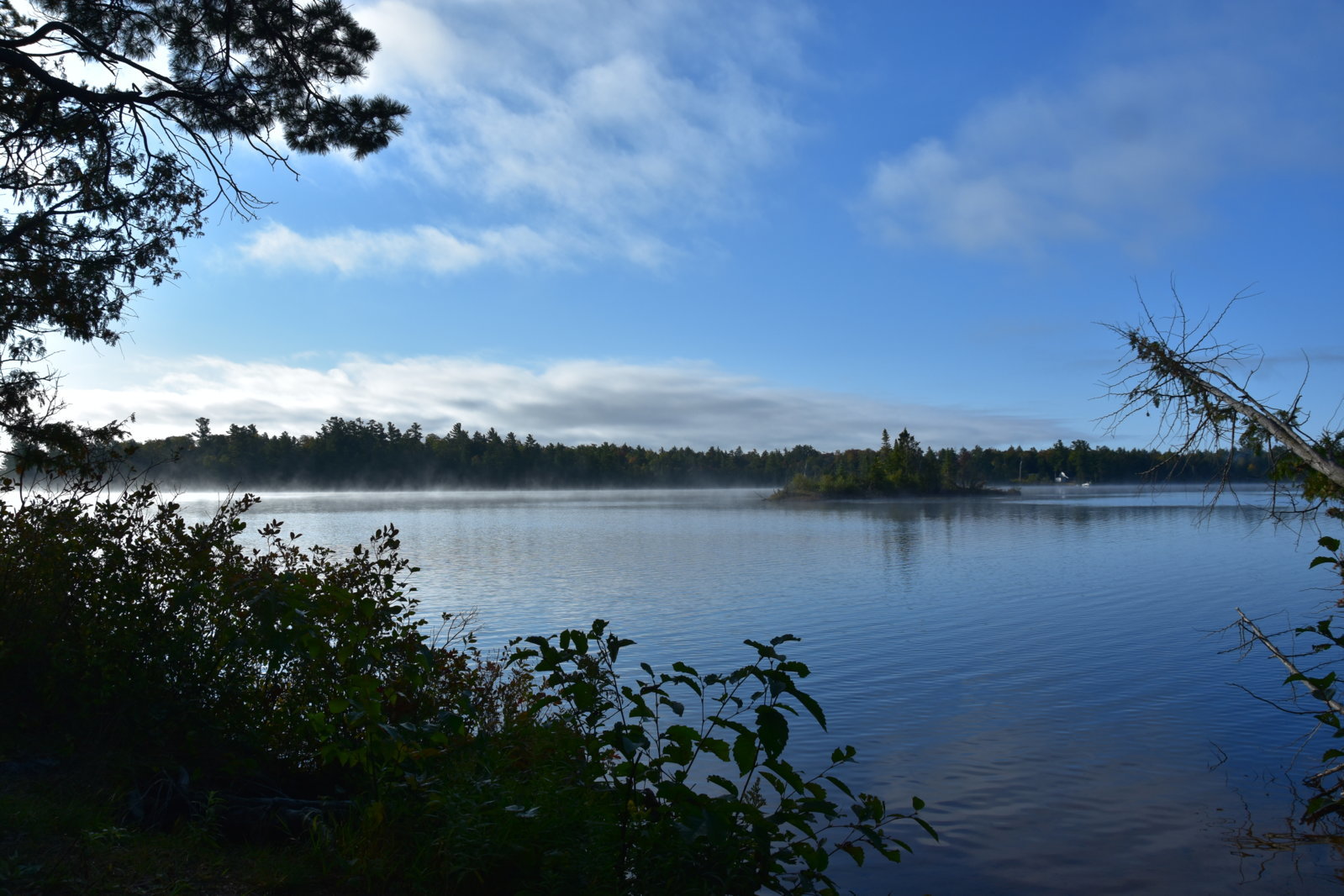 DSC_0497.jpg