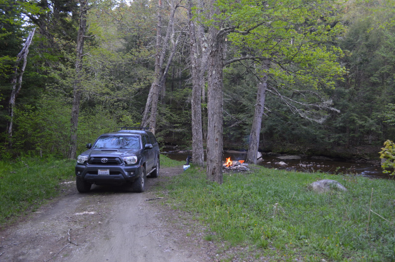 DSC_0501.jpg