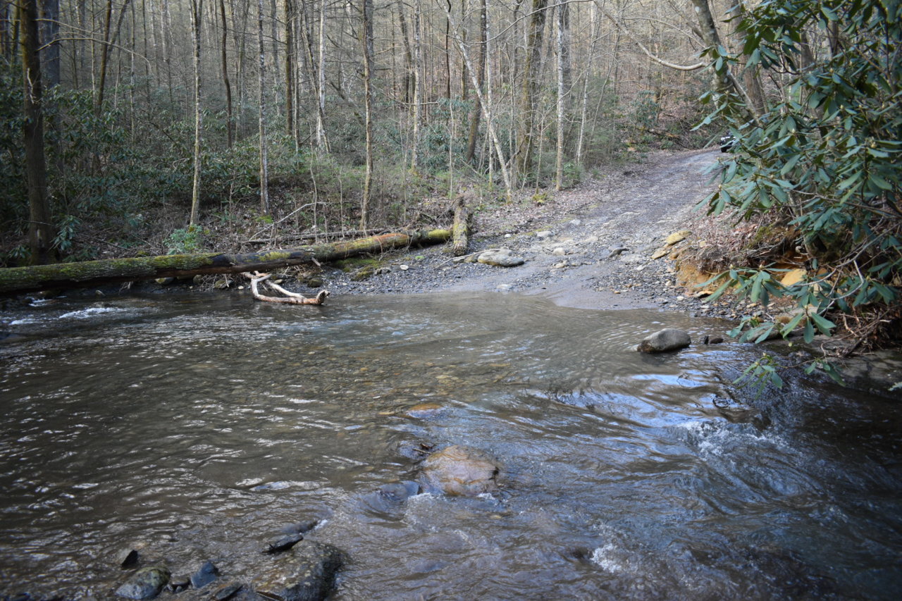 DSC_0501.jpg