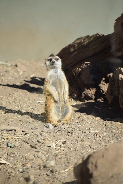 DSC_0502.jpg