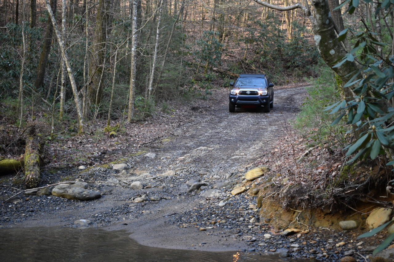 DSC_0503.jpg
