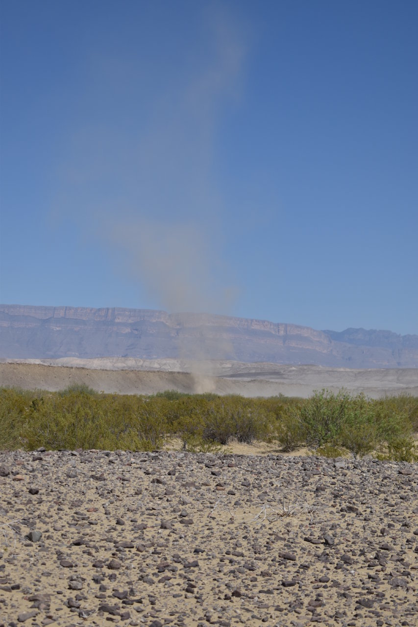 DSC_0503.jpg