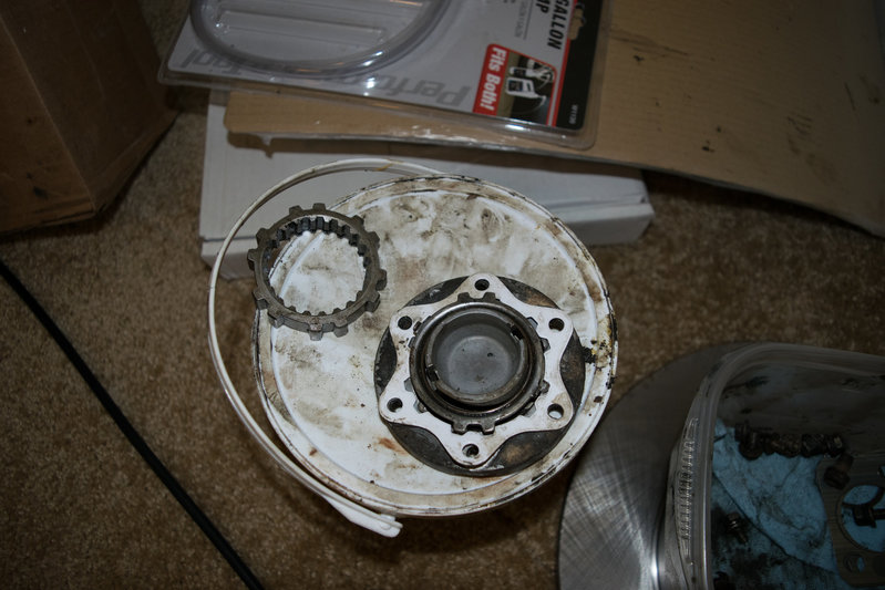 DSC_0503.jpg