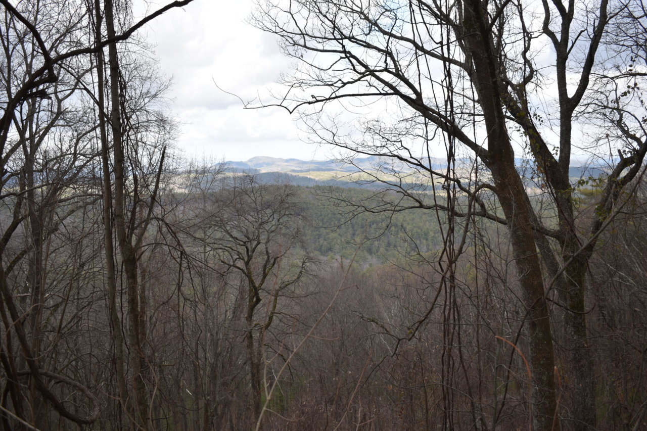 DSC_0506.jpg