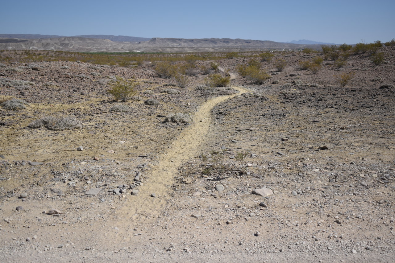DSC_0507.jpg