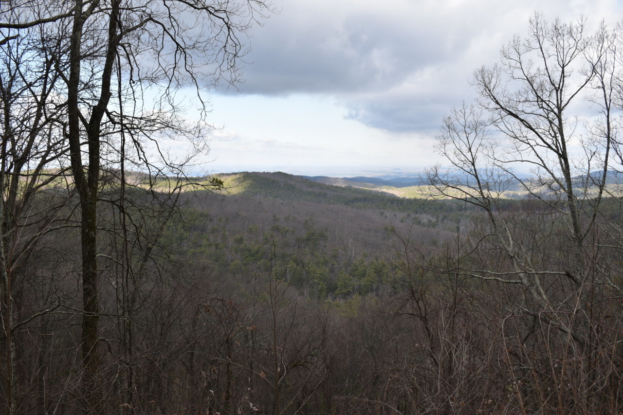DSC_0508.jpg