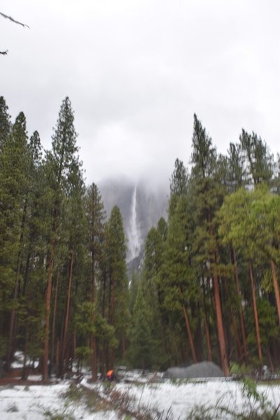 DSC_0508.jpg