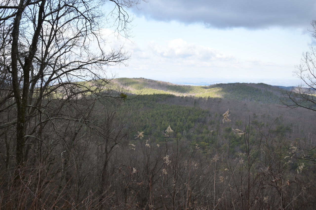DSC_0509.jpg