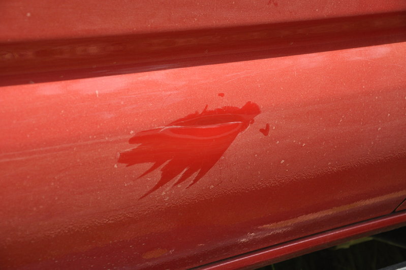 DSC_0510.jpg