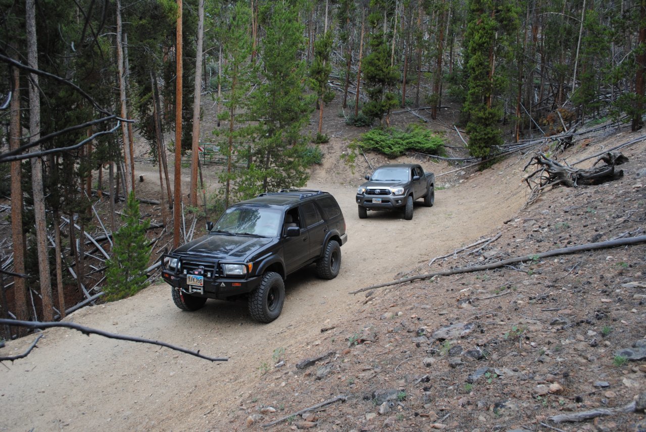 DSC_0514.jpg