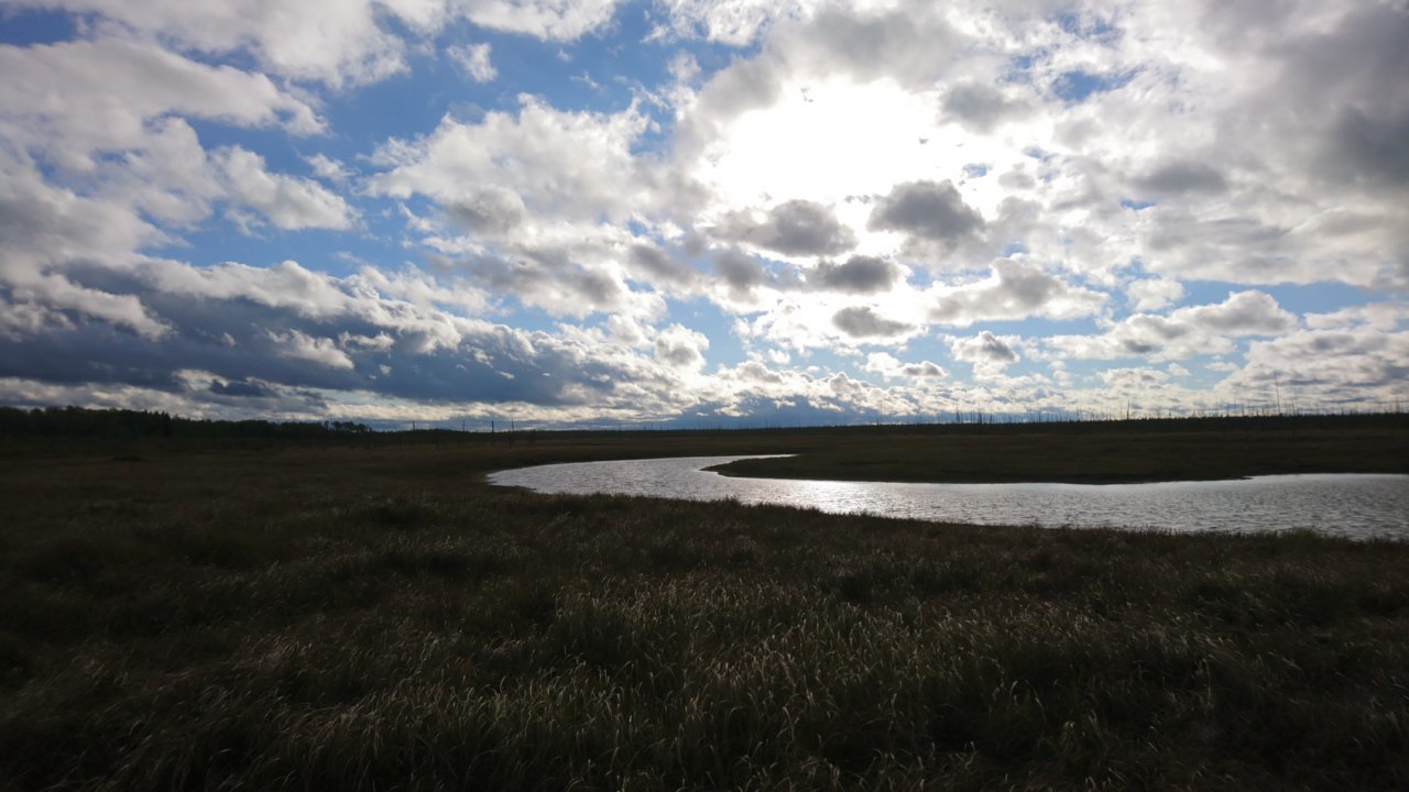 DSC_0515.jpg