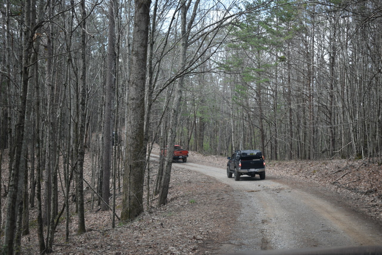 DSC_0515.jpg