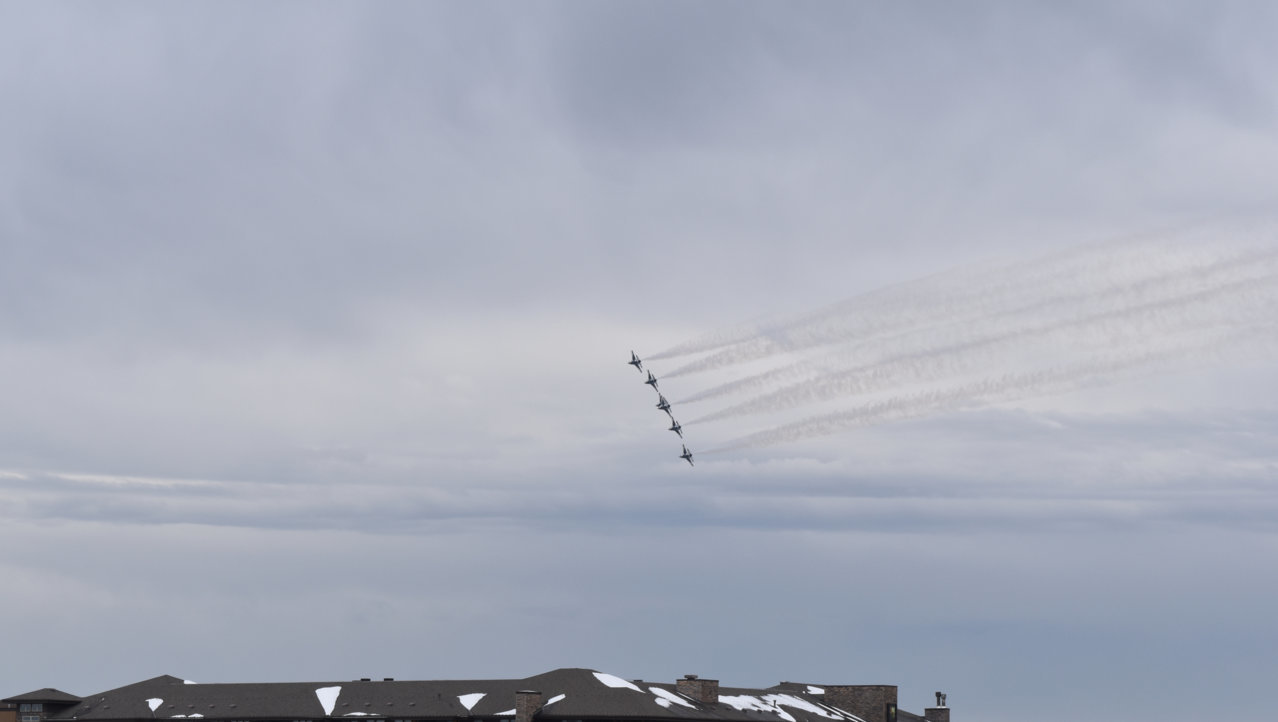DSC_0517_crop.jpg