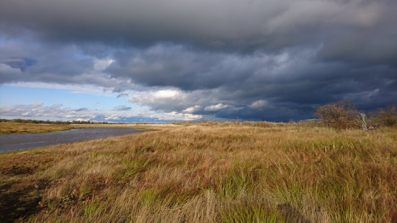 DSC_0518.jpg