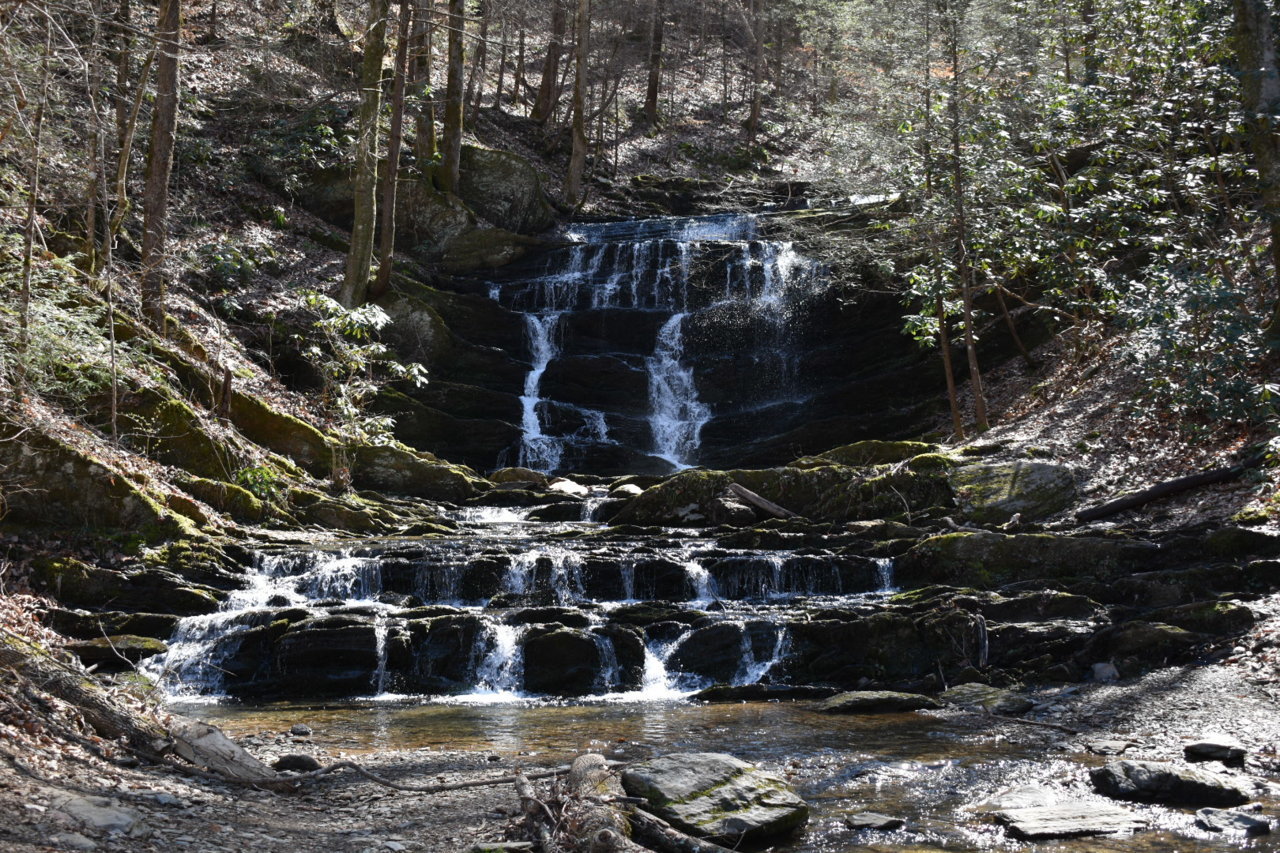 DSC_0518.jpg