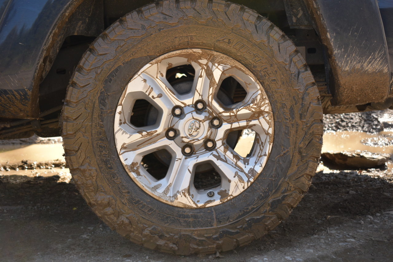 DSC_0528.jpg