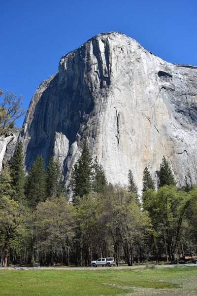 DSC_0530.jpg