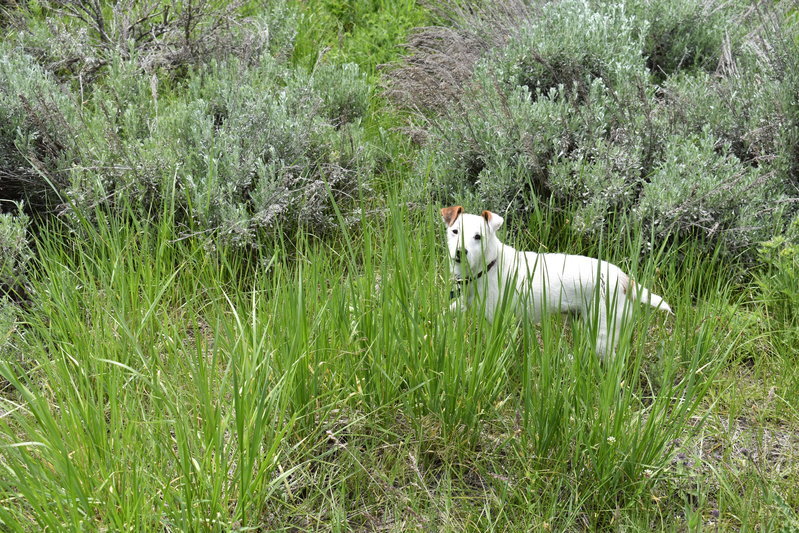 DSC_0534.jpg