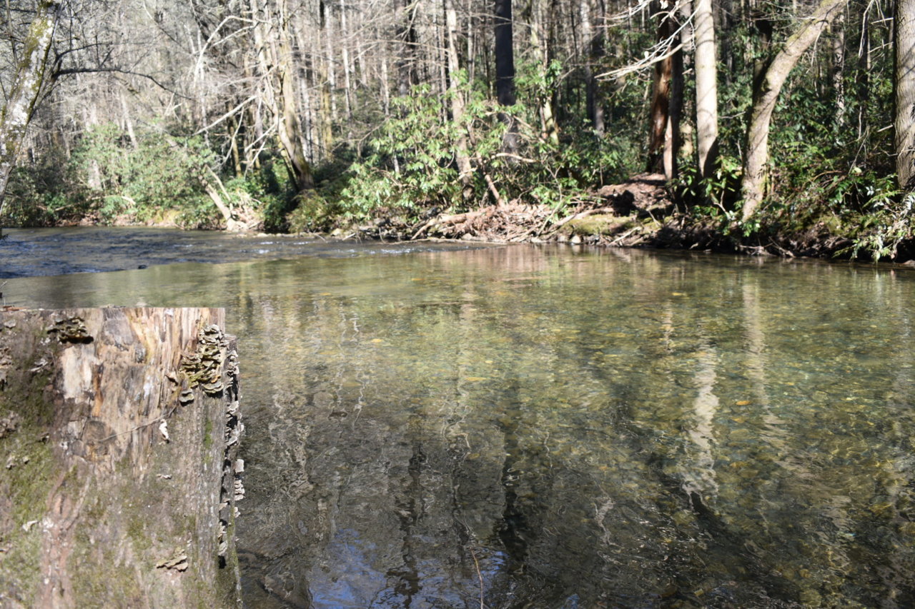 DSC_0534.jpg