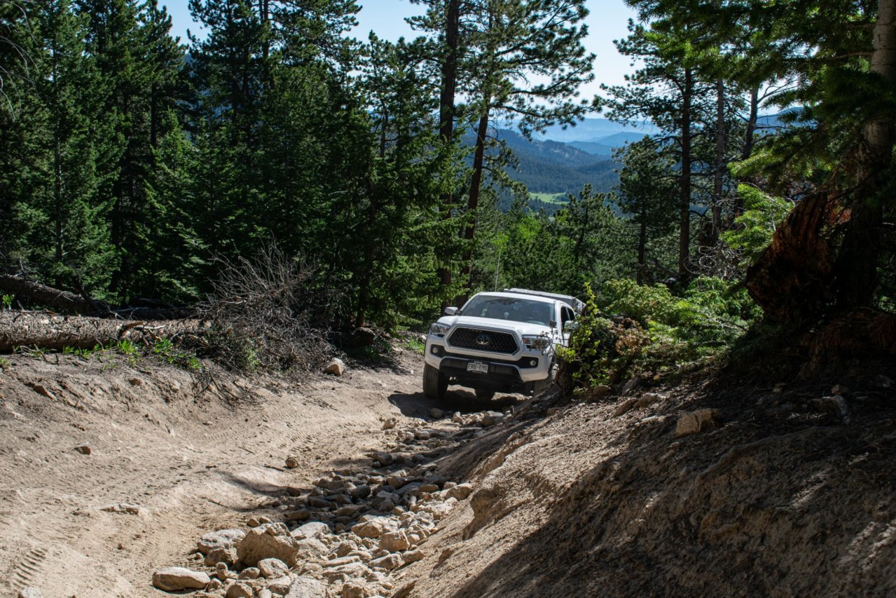 DSC_0536.jpg