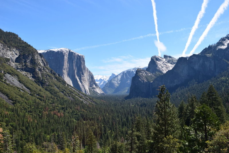 DSC_0536.jpg