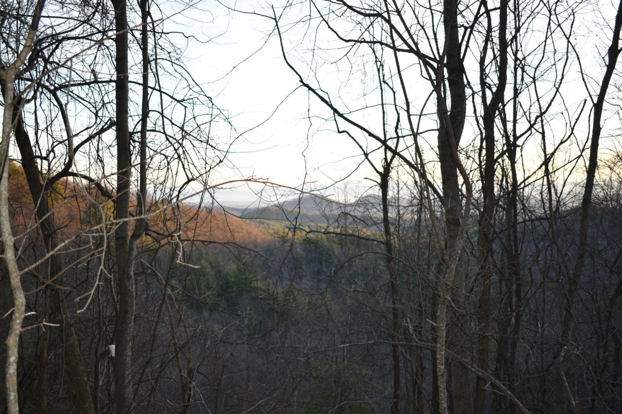 DSC_0539.jpg