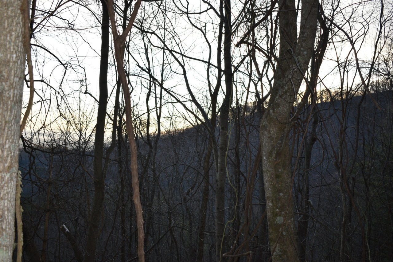DSC_0540.jpg