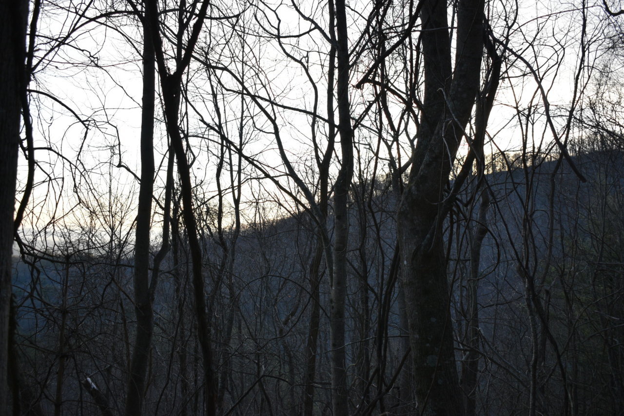 DSC_0541.jpg