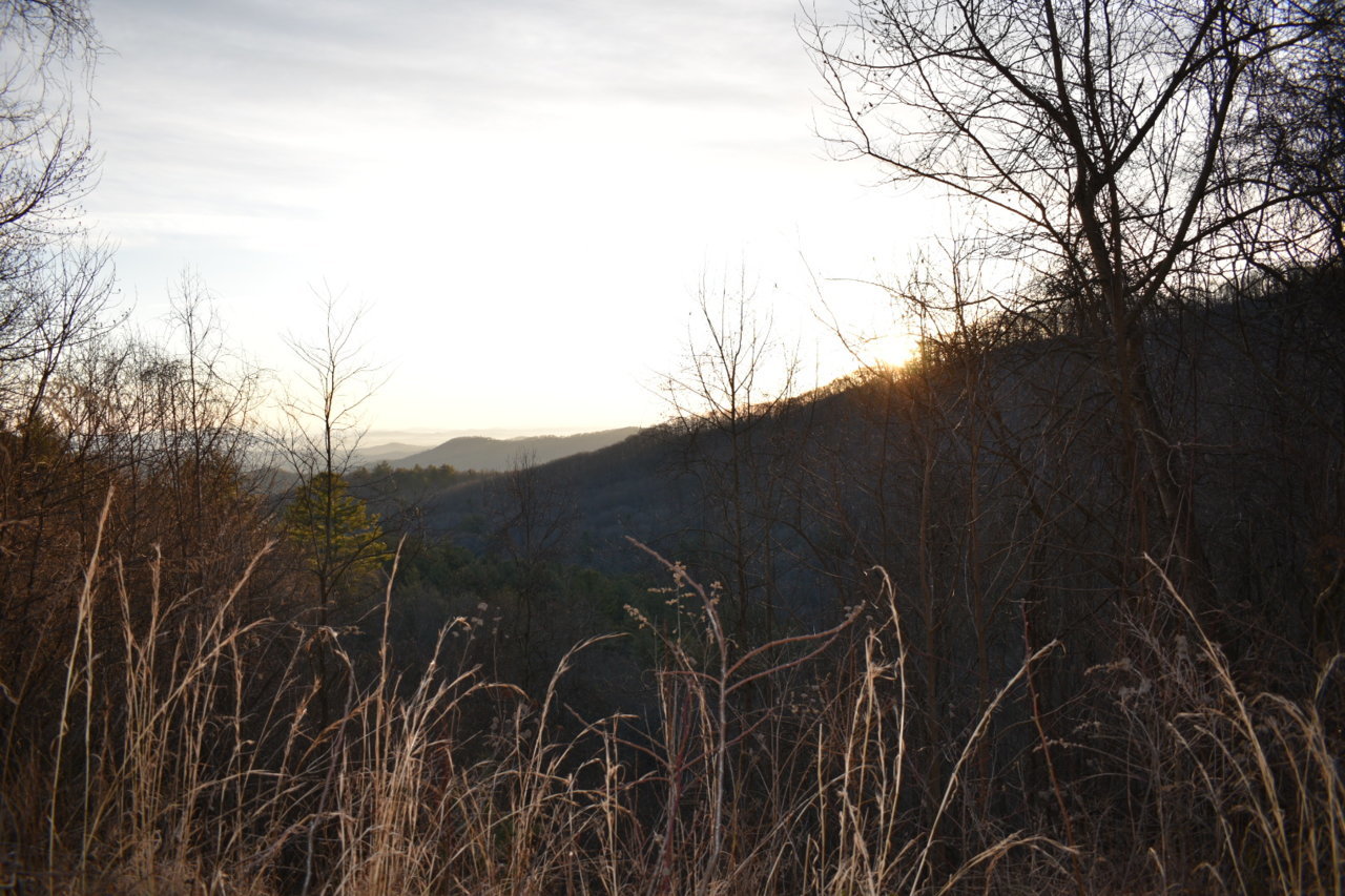DSC_0542.jpg