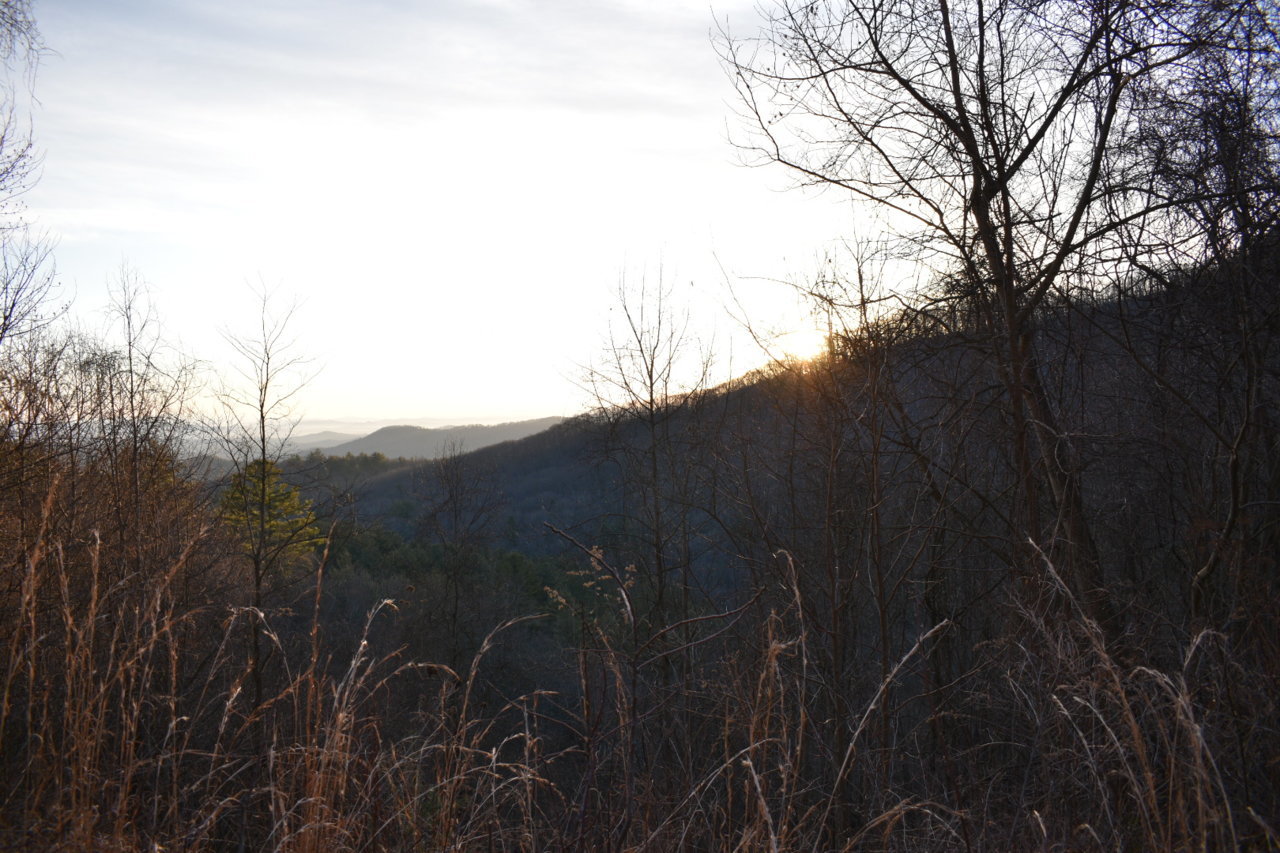 DSC_0543.jpg