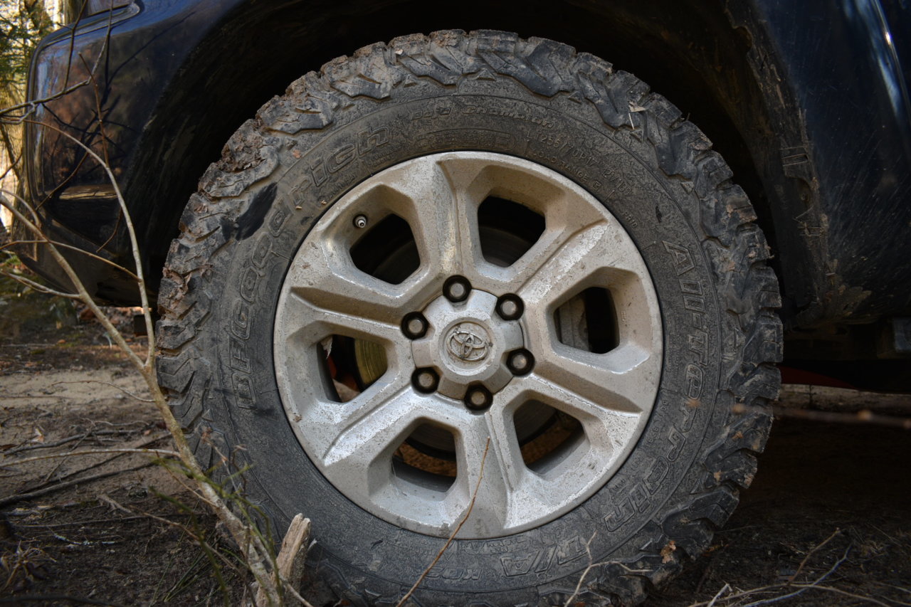 DSC_0549.jpg