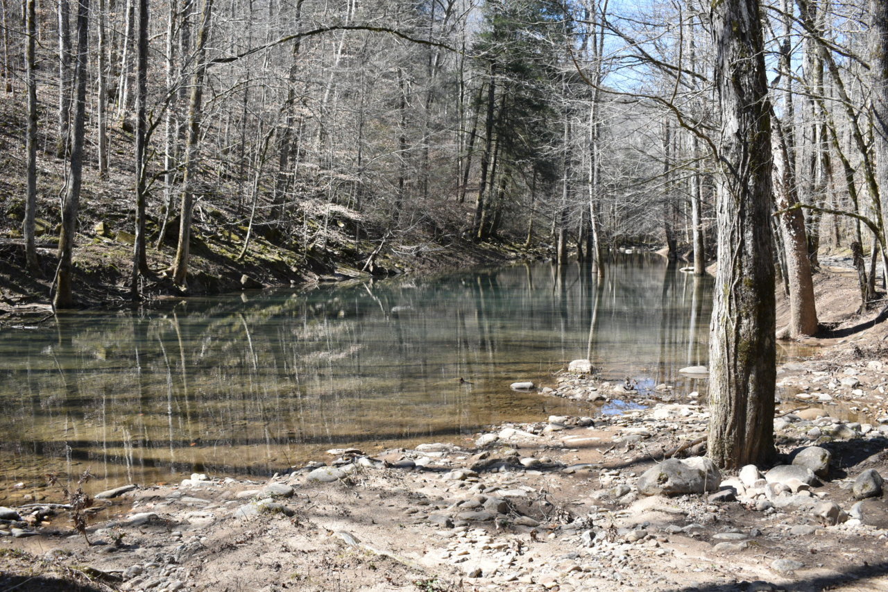 DSC_0554.jpg