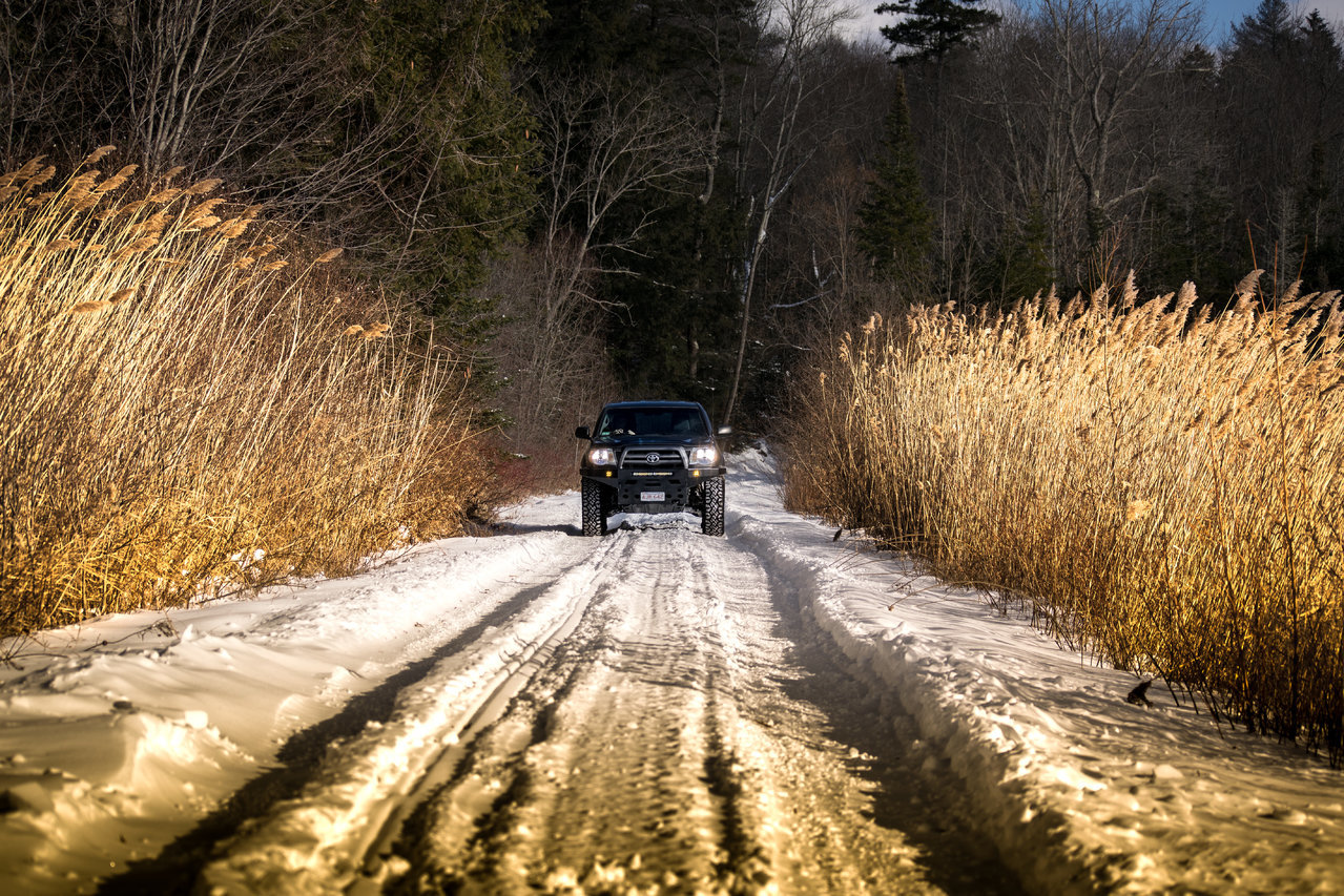 DSC_0561.jpg