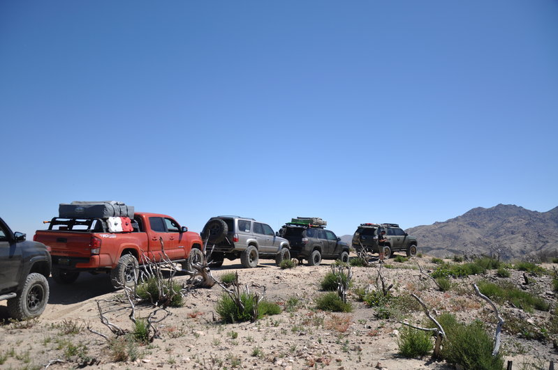 DSC_0568.jpg