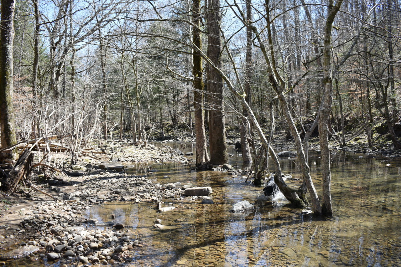 DSC_0568.jpg