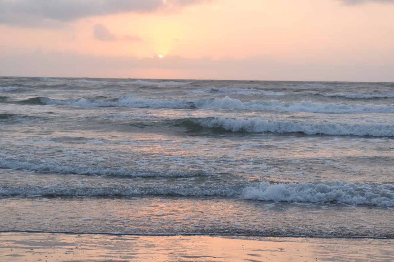 DSC_0579.jpg