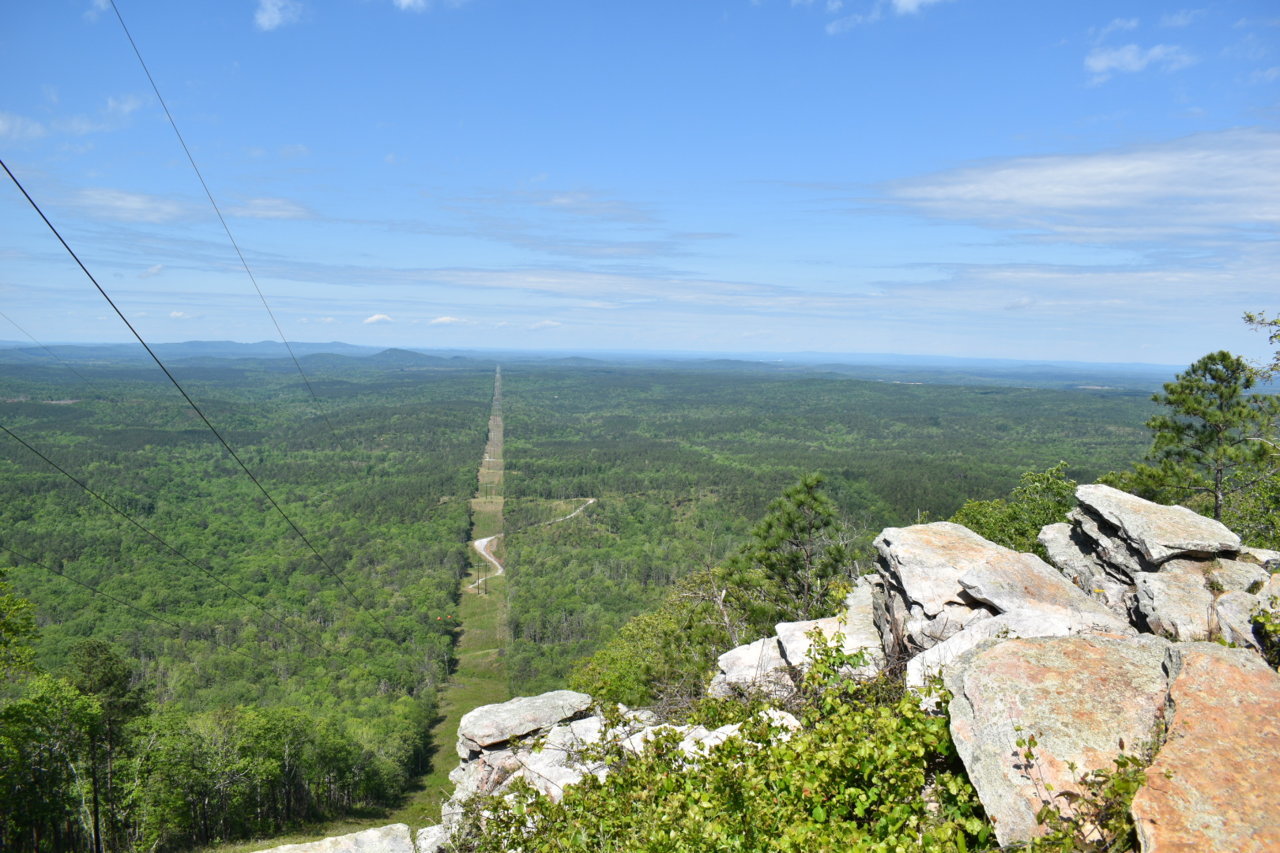DSC_0590.jpg