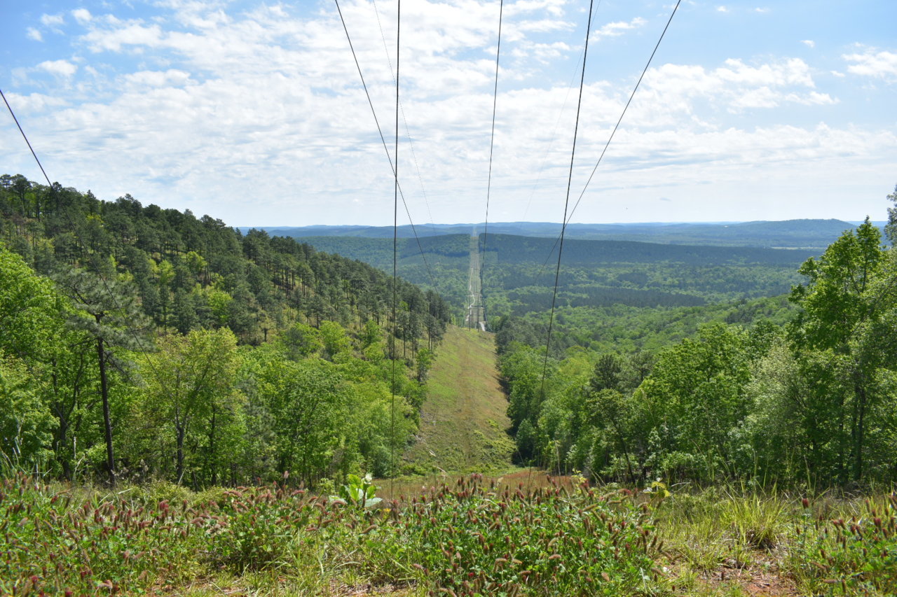 DSC_0594.jpg