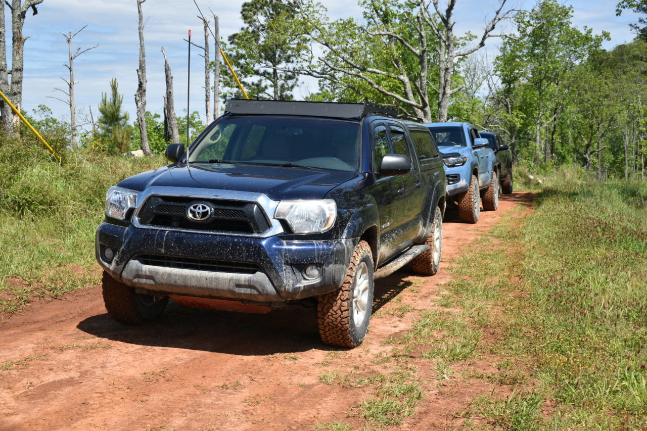 DSC_0595.jpg