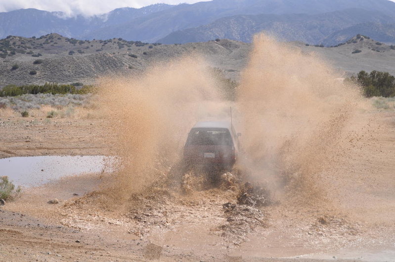 DSC_0605.jpg