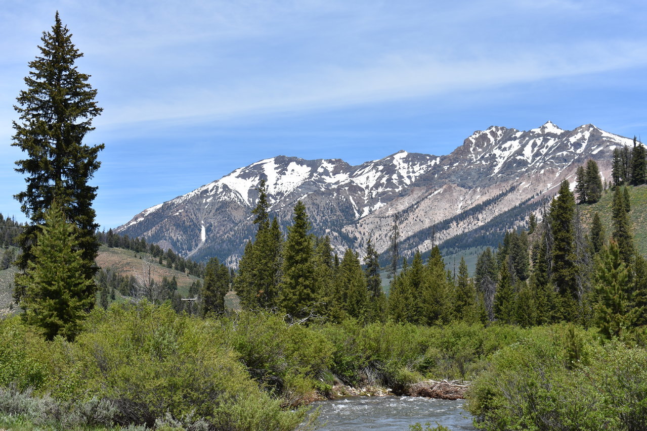 DSC_0610.jpg